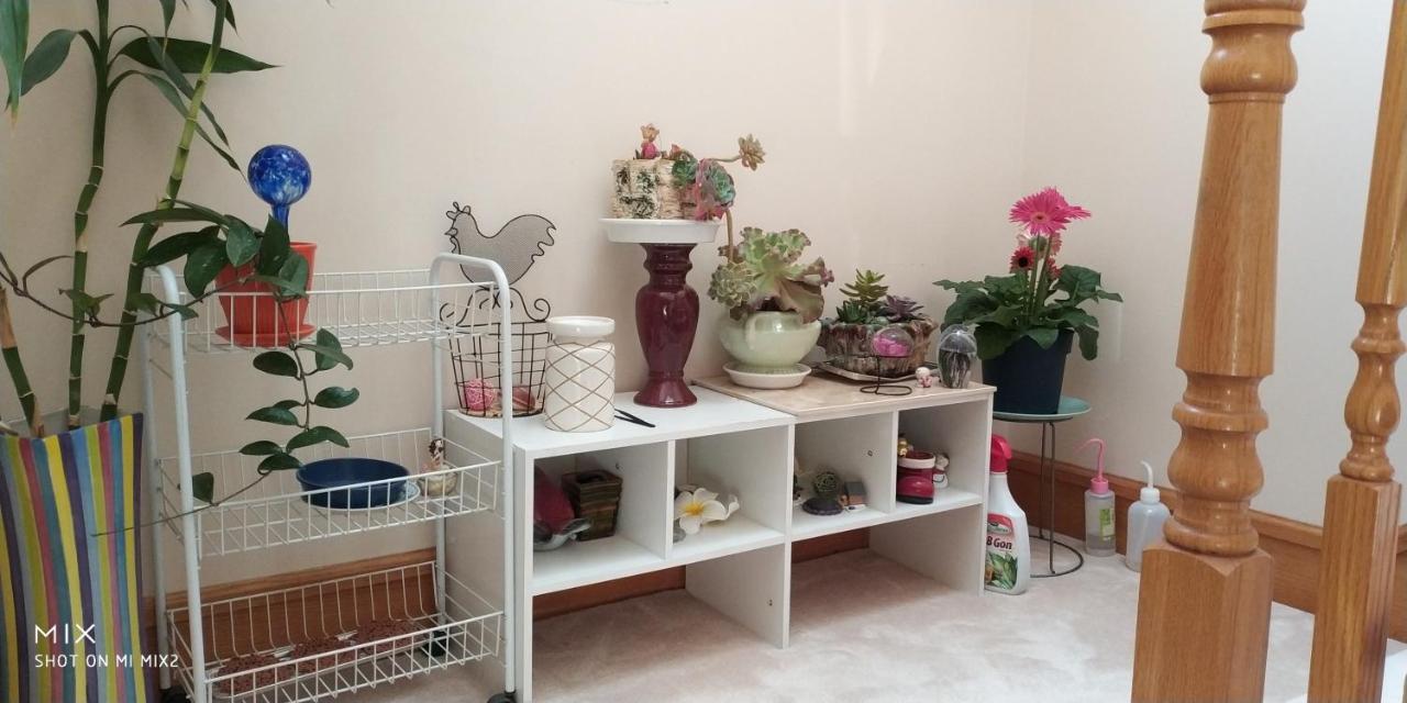 Helen'S House / Close To Skytrain And Airport Vancouver Luaran gambar